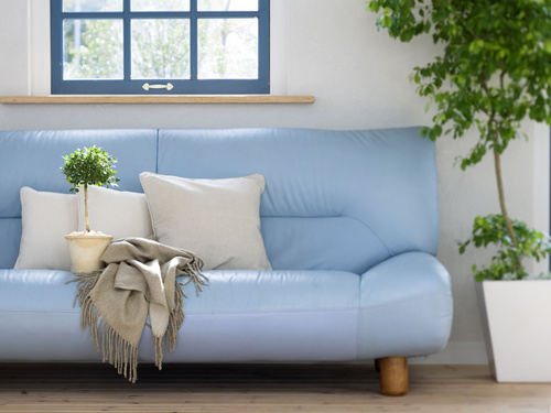 blue sofa